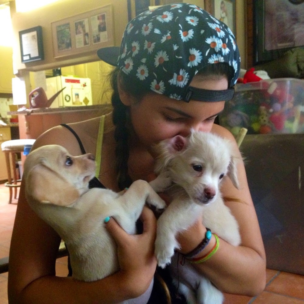 Meet your Posher, Amanda